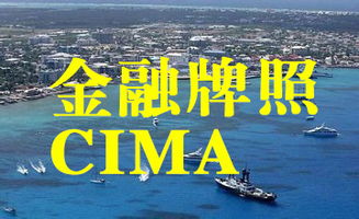 技術咨詢 企業創新與發展的核心驅動力